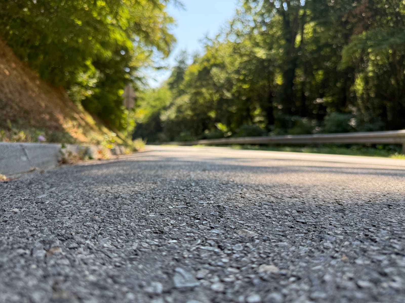 Asfaltna cesta kroz šumu iz žablje perspektive